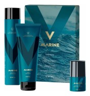 Estel Набор Alpfa Marine «Смелость» Шампунь 300 мл для волос + Гель для душа 250 мл + Дезодорант для тела 50 мл