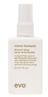 Evo Mister fantastic blowout spray «Мистер Фантастик» универсальный стайлинг-спрей 50 мл travel-size