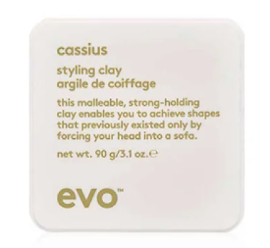 Evo cassius cushy mud / Конструирующая глина кассиус 90 г